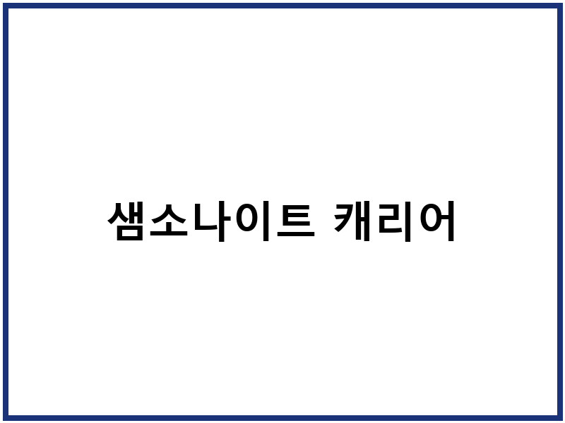 샘소나이트 캐리어