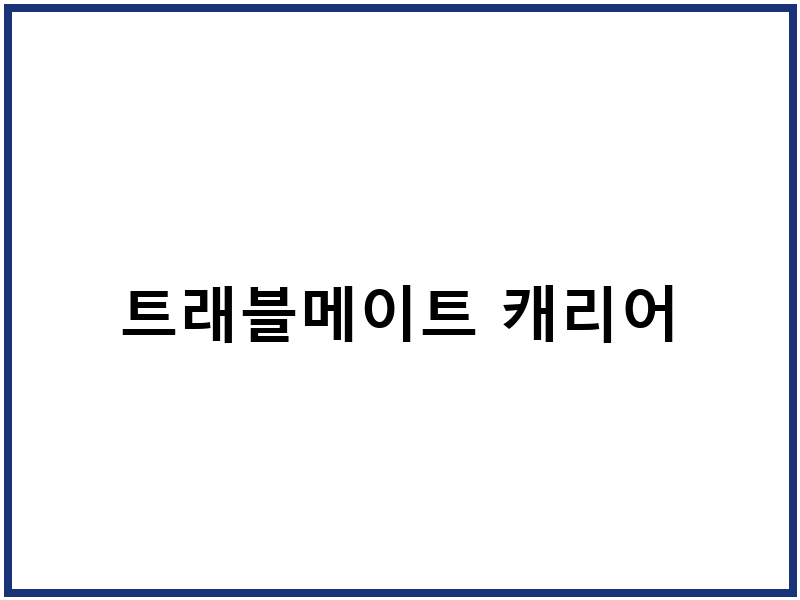 트래블메이트 캐리어
